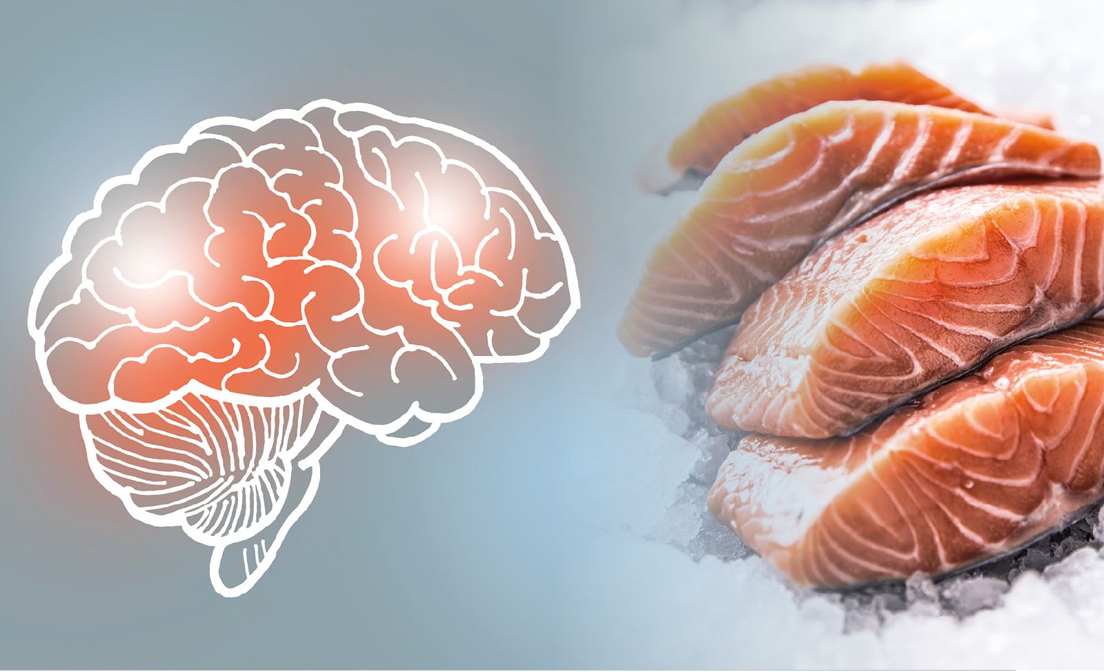 Je hersenen zijn afhankelijk van omega 3-vetzuren