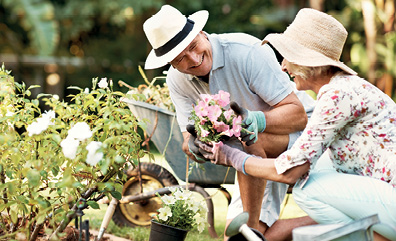 Gezond ouder worden: twee belangrijke voedingsstoffen voor je gezondheid Gezond ouder worden: twee belangrijke voedingsstoffen voor je gezondheid